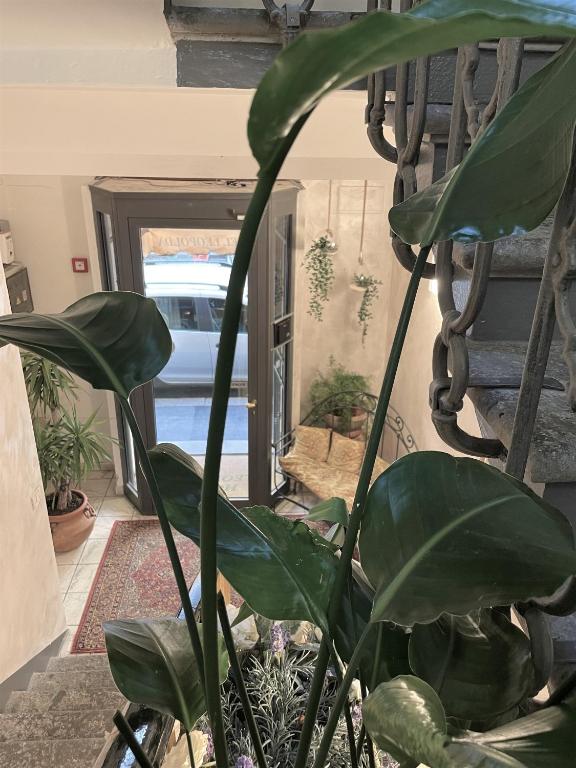 Hotel Leopolda - Resim 18