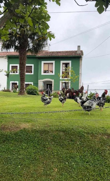 a group of chickens running in front of a house at Casa Rural La Pereda in Noriega