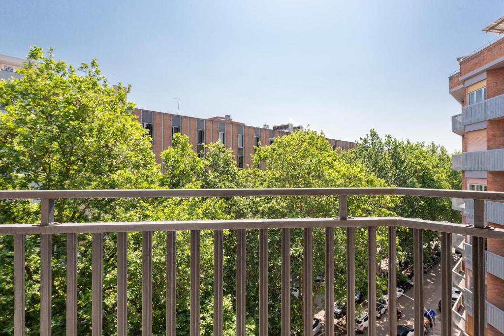 Numa Rome Verso - Resim 21