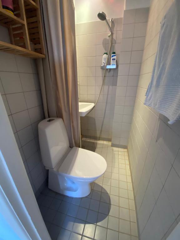 a small bathroom with a toilet and a sink at beautiful danish apartment on the beach with 2 free bikes in Copenhagen