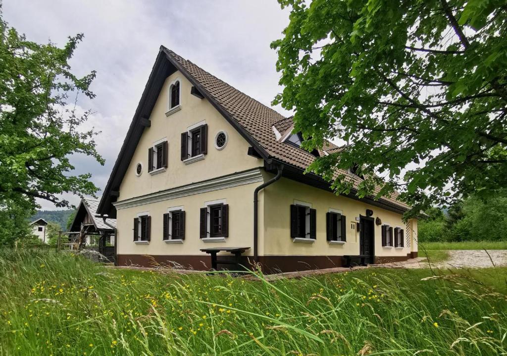 uma grande casa branca com um telhado preto em Country House Pri Lipet Žiri em Žiri