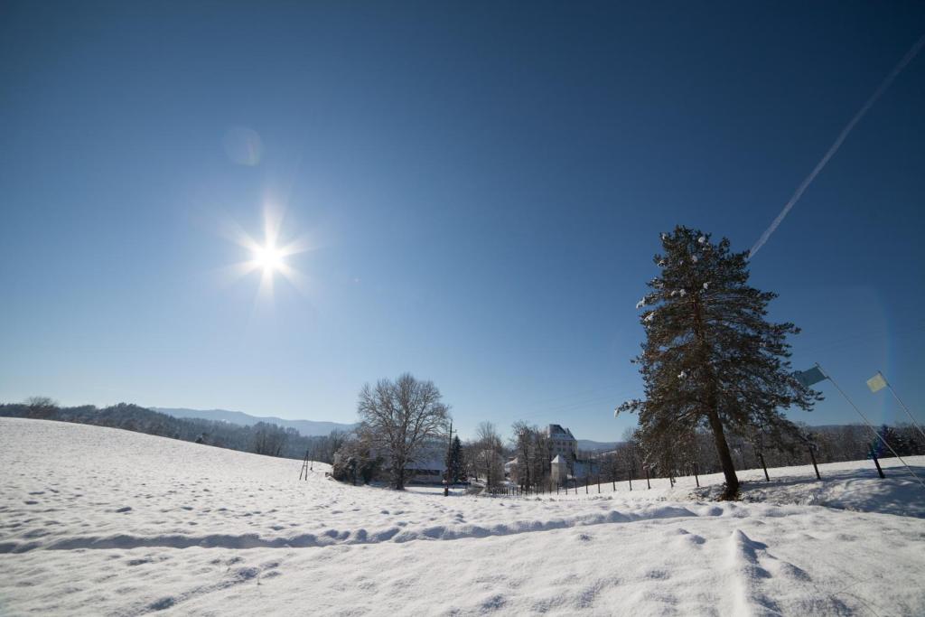 Gasthof Mauthner Zum Kirchenwirt v zimě