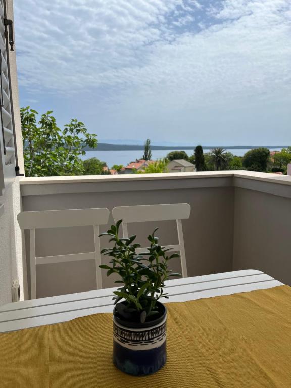 roślina doniczkowa na balkonie z widokiem na ocean w obiekcie Vita natura Lošinj w miejscowości Mali Lošinj