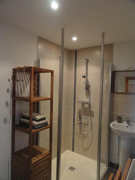a bathroom with a shower and a sink at Les chambres de Blanot in Blanot