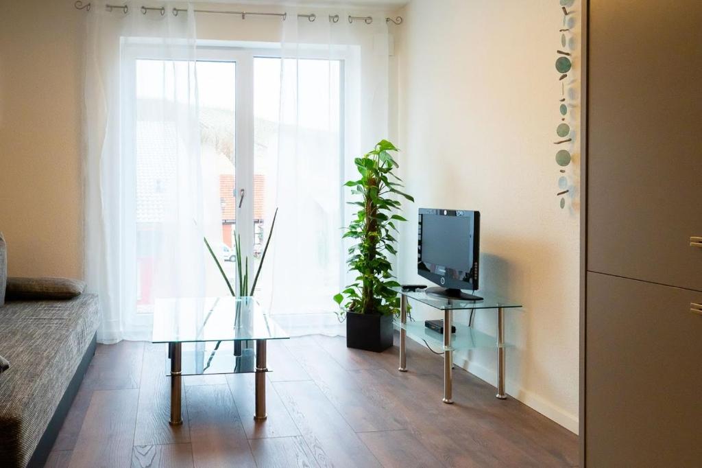 TV a/nebo společenská místnost v ubytování Ferienwohnung Epting