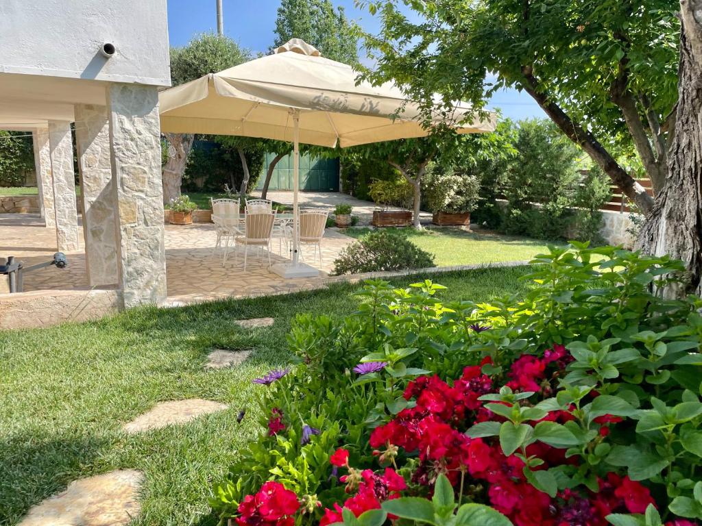 Apartment near airport and beach - 18