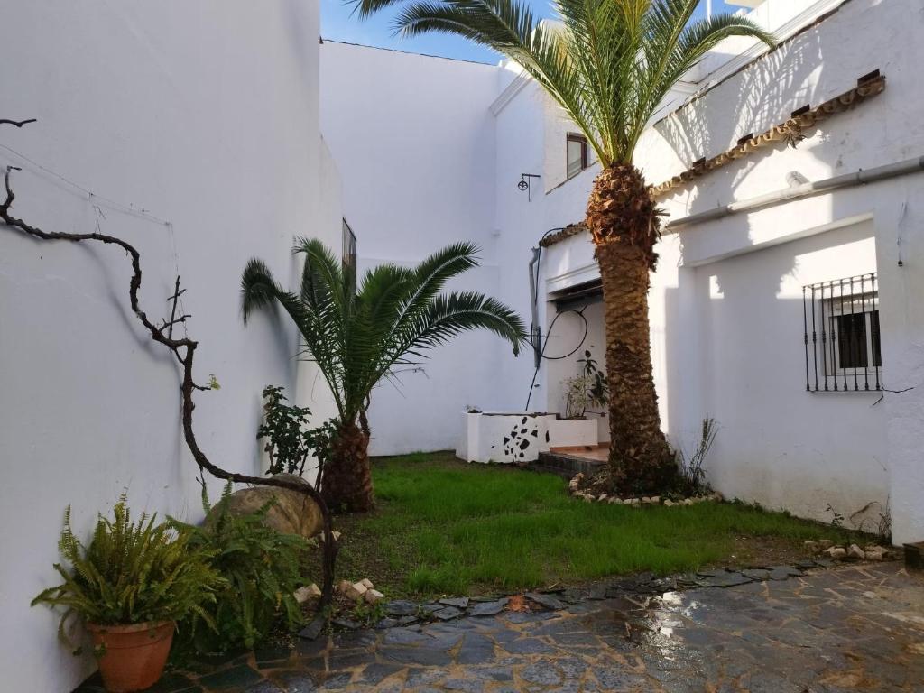 un patio con palmeras y un edificio blanco en casa señorial Sara, en Trigueros