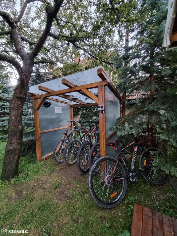 Jízda na kole v ubytování Valea Doftanei Glamping nebo okolí