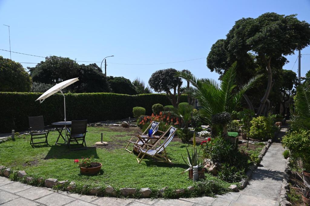 Zahrada ubytování B&B Villa Dongiovanni