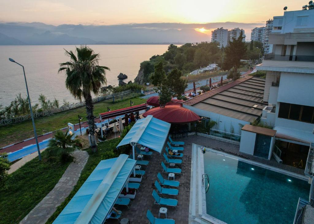 تصویر اتاق‌های Tema 242 Hotel - تصویر ۲