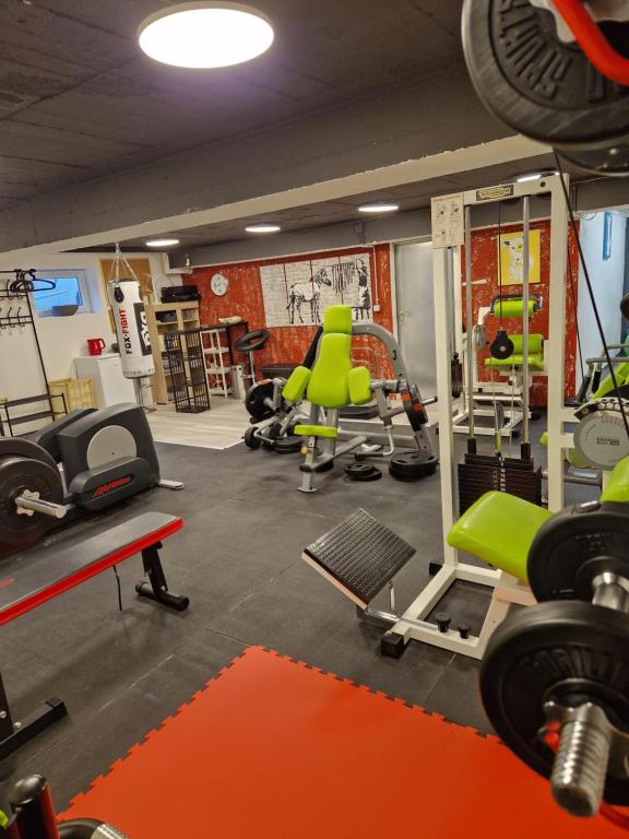un gimnasio con mucho equipamiento y sillas verdes en City-Appartement Vogel, en Coblenza