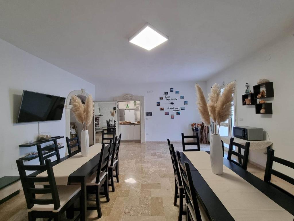 Kuchyň nebo kuchyňský kout v ubytování Albatros B&B Porto Cesareo