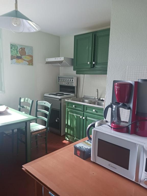 cocina con armarios verdes y microondas en Gîte La Halte Del Burro en Vernet-les-Bains