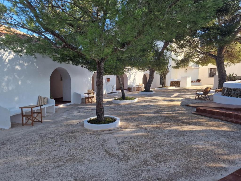 Fotografie z fotogalerie ubytování Mongofre Agroturismo v destinaci Mahón