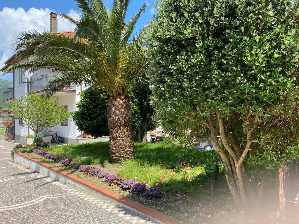 Taman di luar Casa della Regina