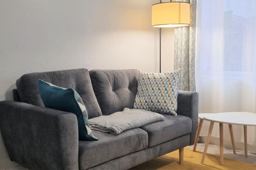 a living room with a gray couch with pillows at Apollinaire - Très jolie maison - Jardin - 3pers in Lille