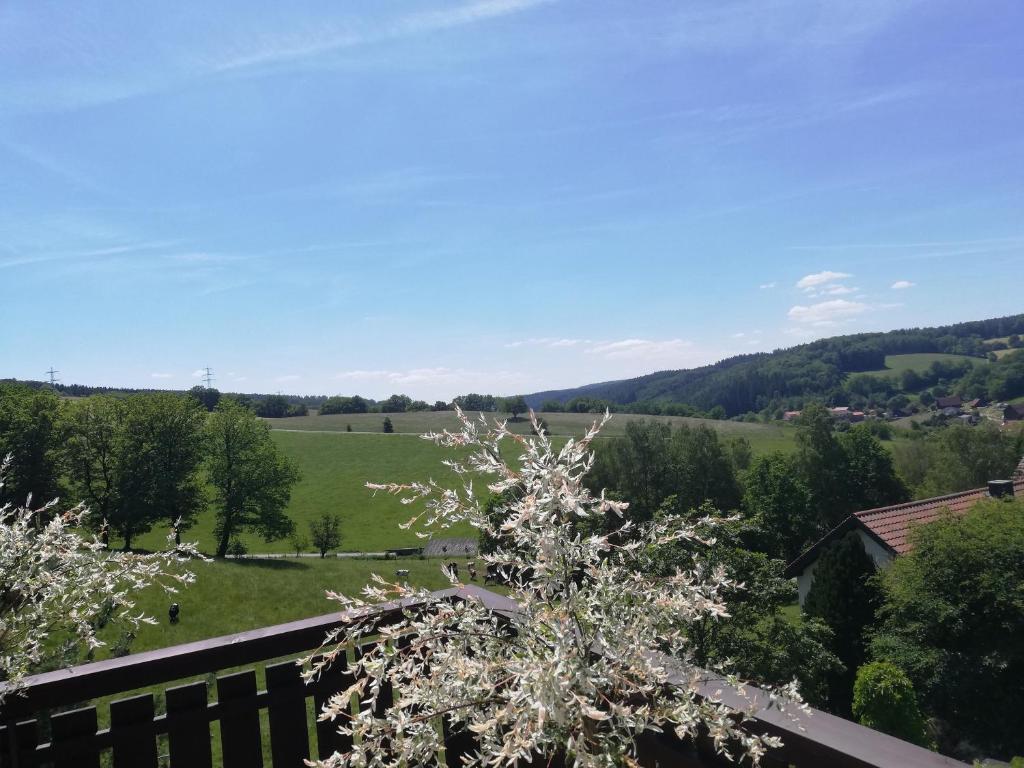 a view from the balcony of a house with a flowering tree at Ferienwohnung Traumblick in Beerfelden