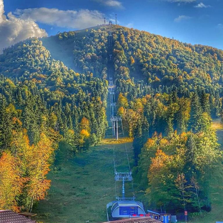 Příroda nedaleko hotelu