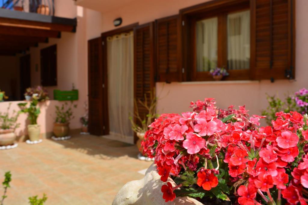 カステッルッツォにあるVacanze Morfinoの家の前の赤い花束