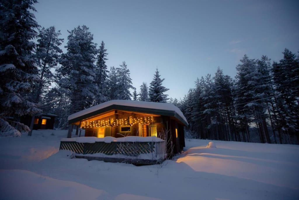 ein Haus mit Lichtern im Schnee in der Unterkunft Log Cabin, forrest , sea view, north Sweden. in Luleå
