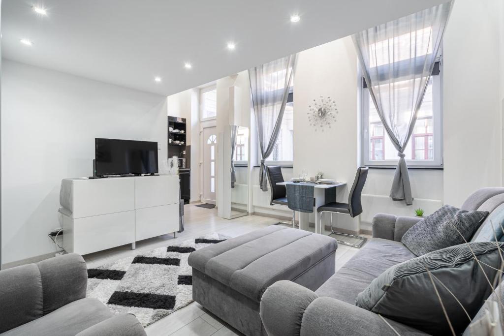 Joyous Era Apartment 1075 Budapest, 6 Kazinczy utca kép - 1