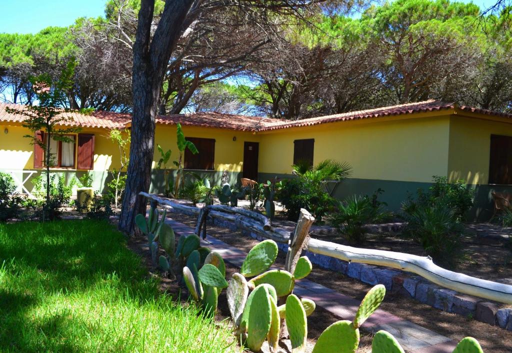 une maison avec un cactus en face dans l'établissement Ala Birdi Cottage 150MT From The Beach Apartments - Happy Rentals, à Arborea