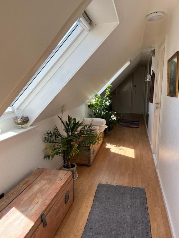 Posezení v ubytování Munkebo B&B, Thy