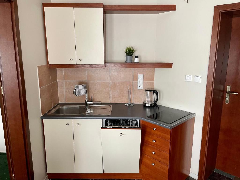 Kuchyň nebo kuchyňský kout v ubytování Apartamenty Residence Borkowo