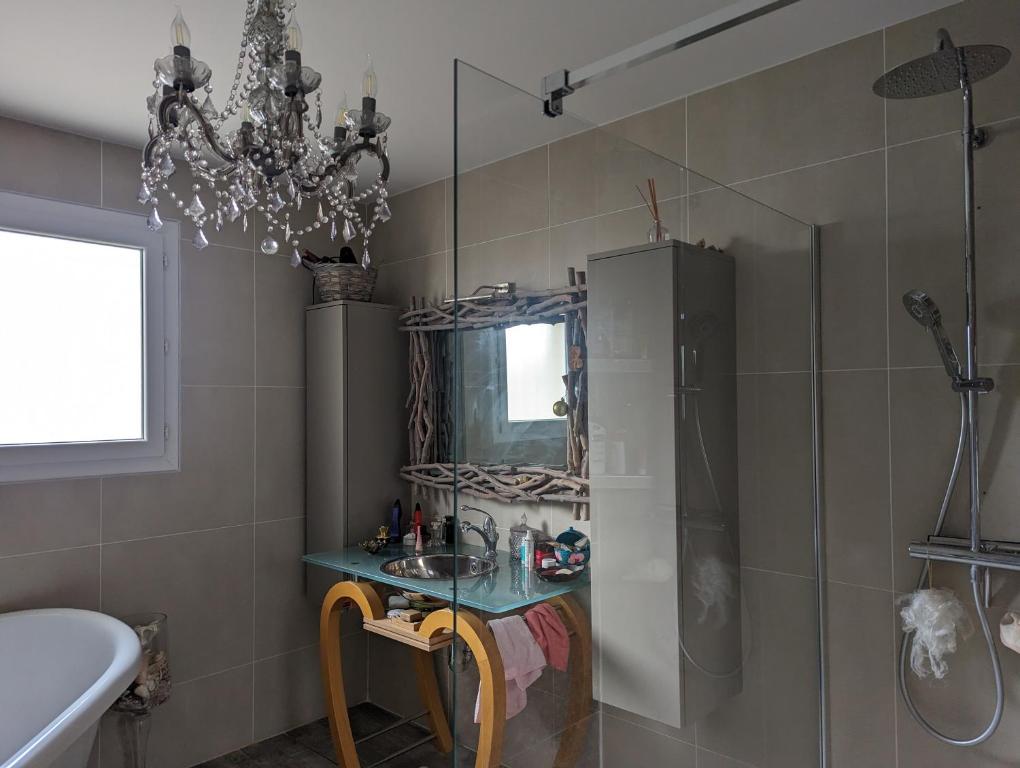 a bathroom with a sink and a shower with a mirror at Chez Nonna in Jonage