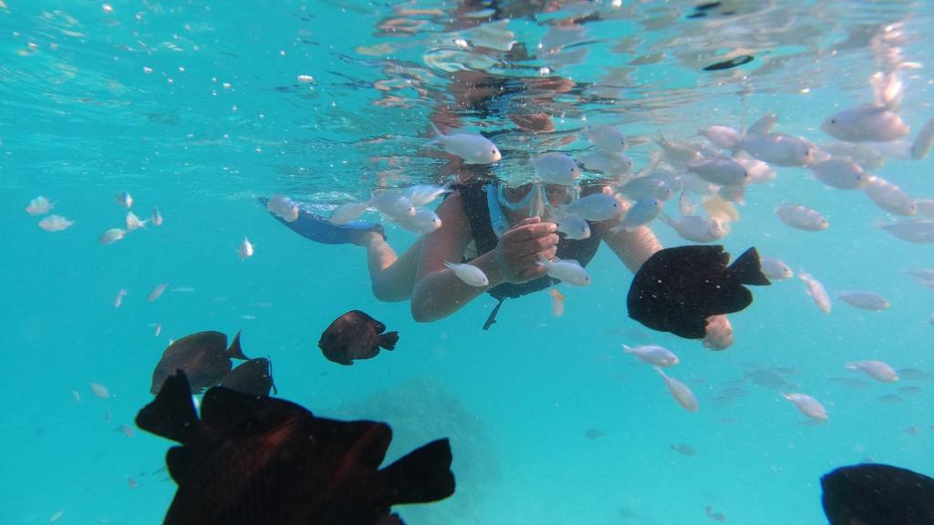 Hosté ubytování Jerrys Dive Lodge Rasdhoo