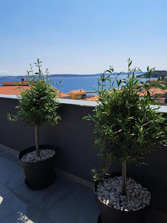 Příroda nedaleko apartmánu