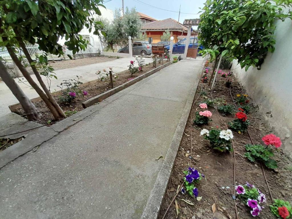 Lemon tree apartment, Neoi Epivates (updated prices 2024)