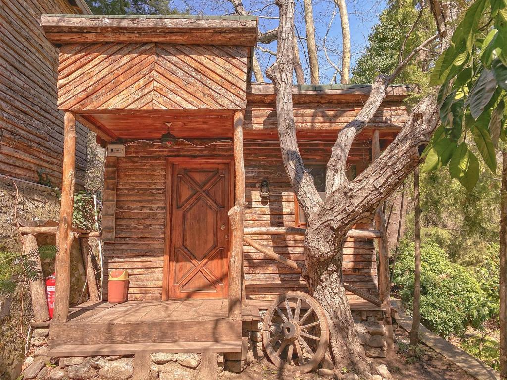 eine Holzhütte mit einer Holztür neben einem Baum in der Unterkunft Antik Vadi Bungalow in Edremit