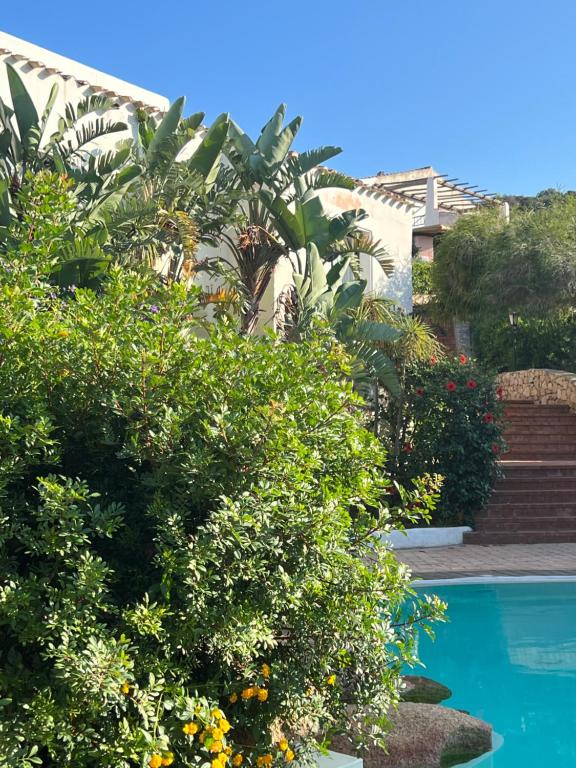 a garden with a swimming pool and some plants at Appartamento Gli Oleandri 138 - Costa Smeralda-Porto Cervo in Liscia di Vacca