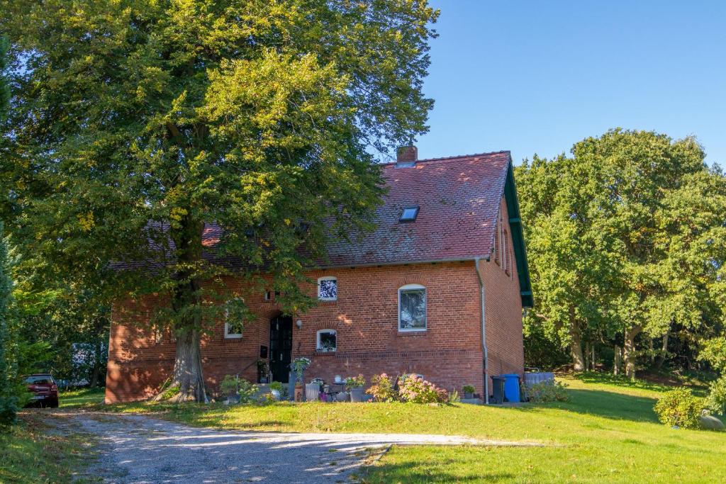 Zahrada ubytování Ferienwohnung zwischen Wald und Strand