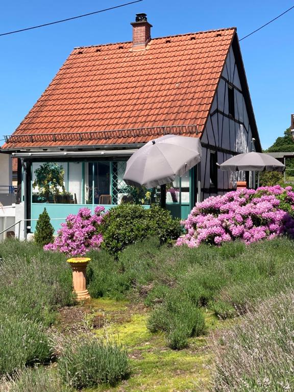una casa con un paraguas y flores delante de ella en Ferienhaus mit Sauna, Wintergarten und Terrasse im schönen Hochtaunus, en Glashütten