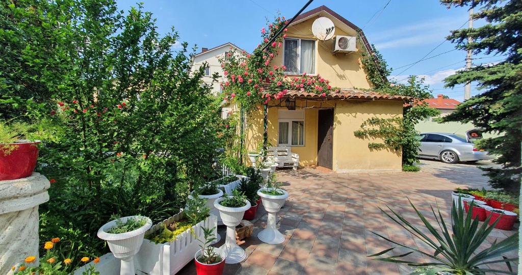 une maison avec un tas de plantes en pot dans une cour dans l'établissement Holiday Home near sea, à Odessa