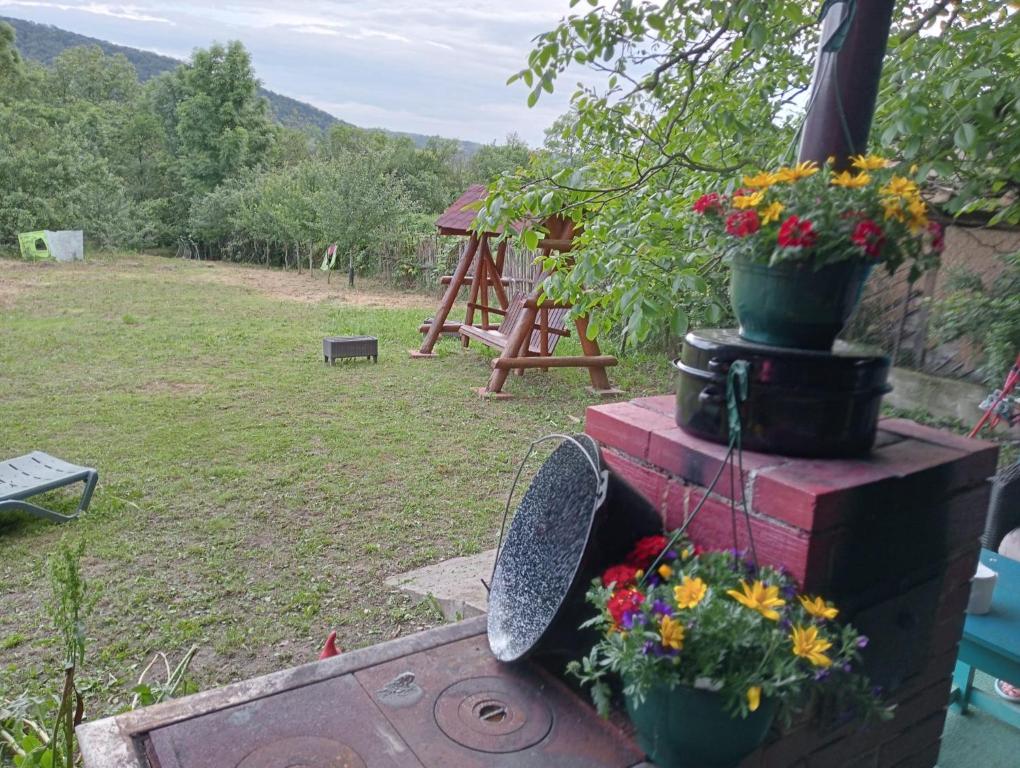 a garden with flowers in pots and a shovel at Hello Nature House - Cheile Nerei, Carasului, Garlistei in Giurgiova