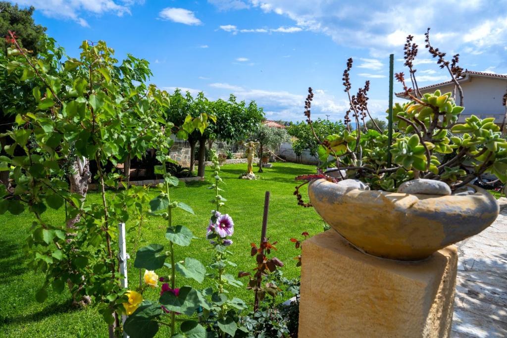 幾內塔的住宿－Ocean View Villa，花园内种植了植物,设有大型石质花瓶