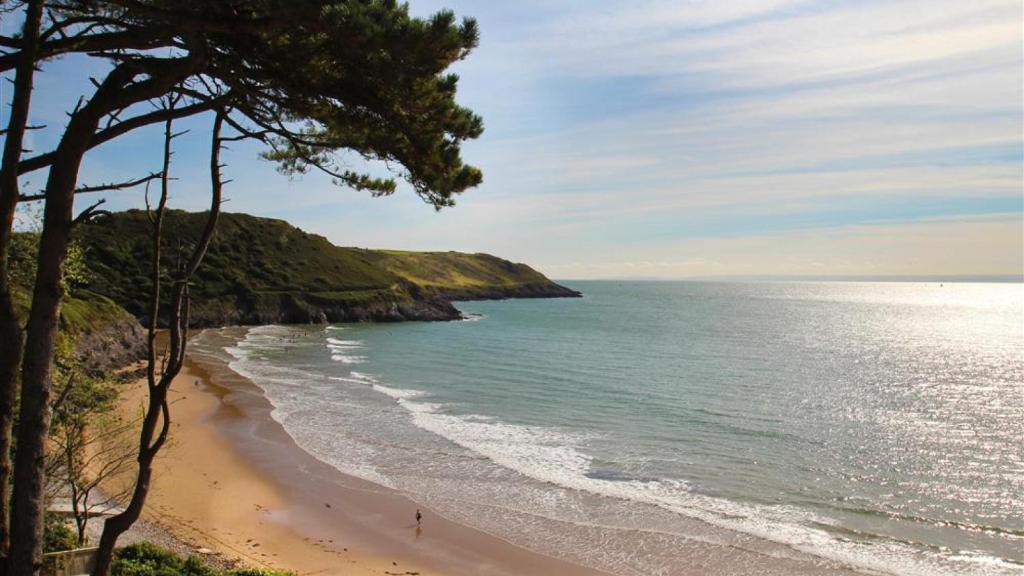 a beach with a tree and the ocean at Redcliffe Apartments I in Bishopston