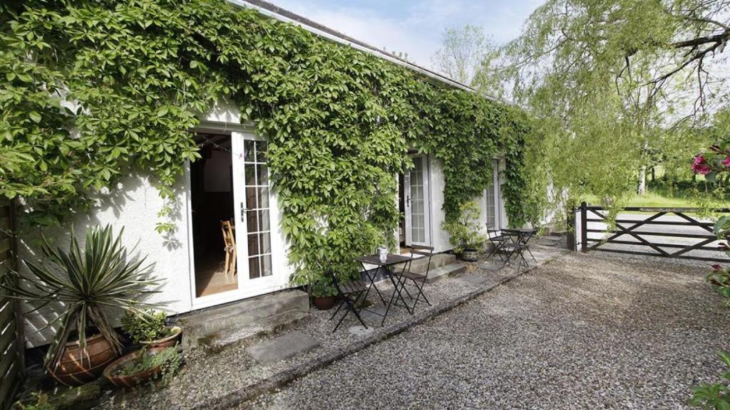 a white house with ivy on the side of it at Llethryd Farm Cottage One in Llanmorlais