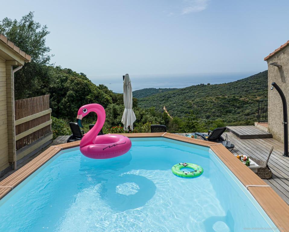 a swimming pool with a pink swan in the water at Les Terrasses de Scaglioli in Villanova