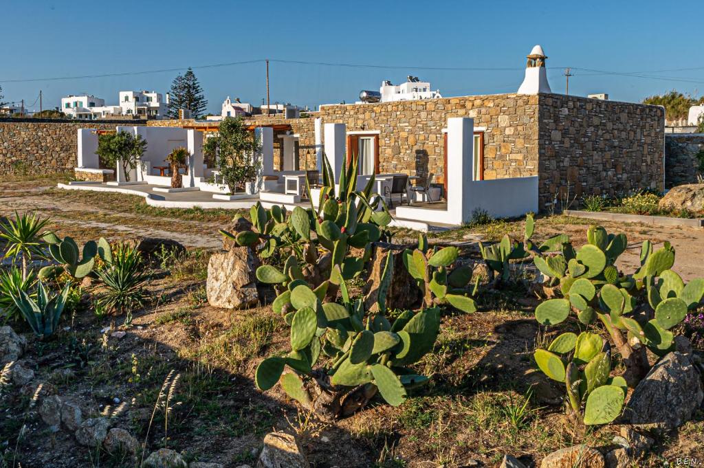 dom z mnóstwem roślin przed nim w obiekcie Katerina View w mieście Mykonos
