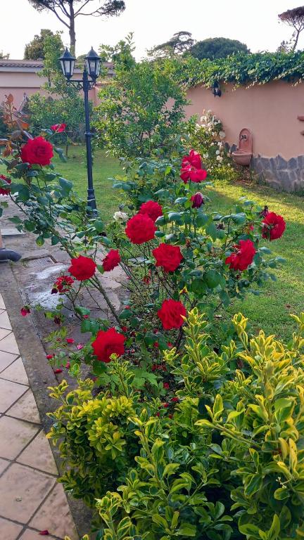 Ogród w obiekcie Villa Vittorio