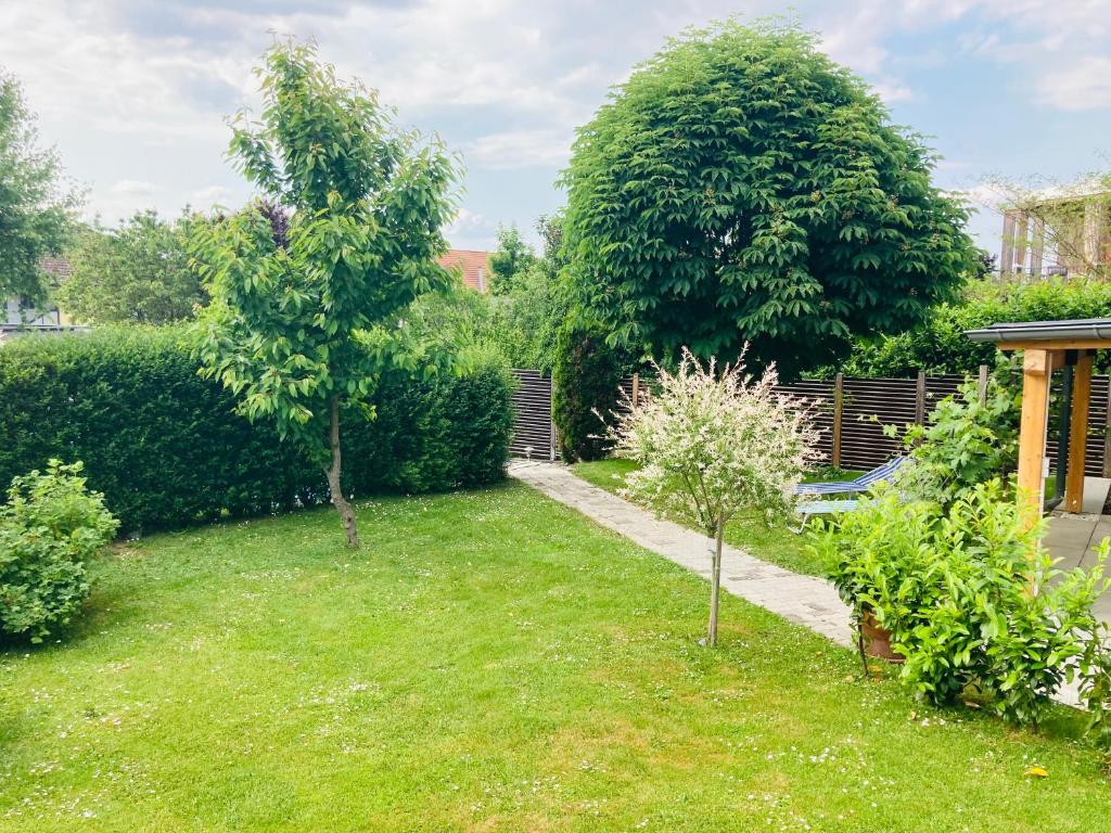 a garden with two small trees and a sidewalk at Das Ferienhaus-zurück zum Ursprung in Güssing