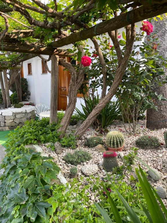 Giardino di Guesthouse Coralba