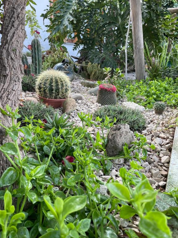 Giardino di Guesthouse Coralba
