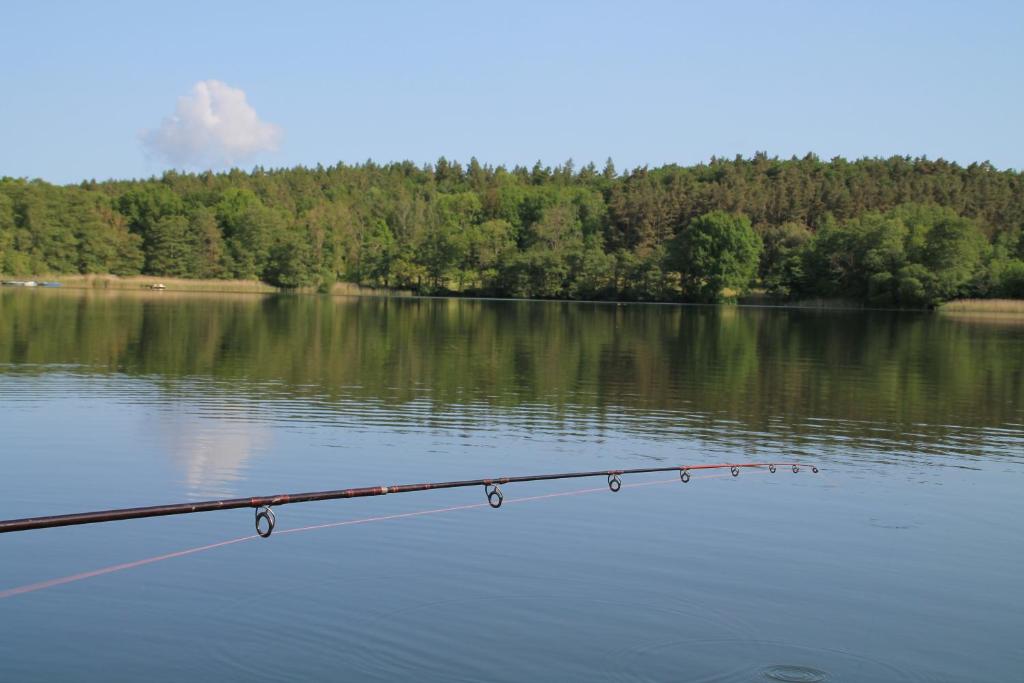a rod in the middle of a lake at Alt Sammit in Alt Samitz