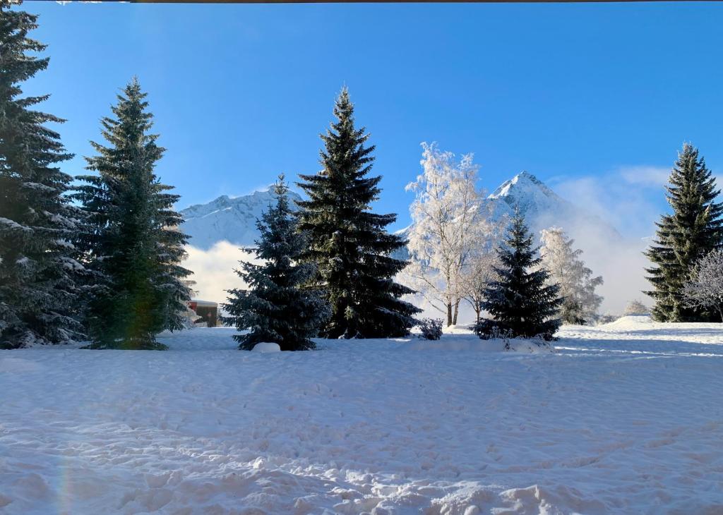 un champ recouvert de neige avec des arbres et des montagnes dans l'établissement Mon nid montagnard au soleil, à Les Deux Alpes