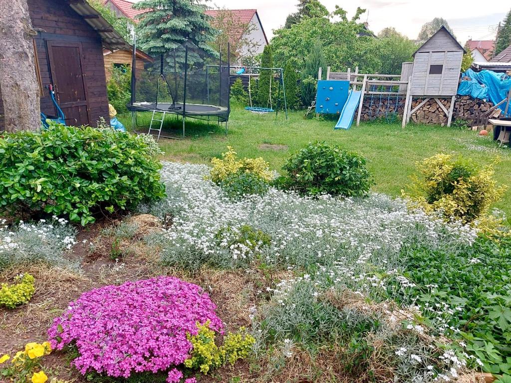 un jardín con flores rosas y blancas y un columpio en Pod Czereśnią, en Szczecin